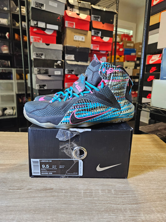 Size 9.5 - LeBron 12 23 Chromosomes