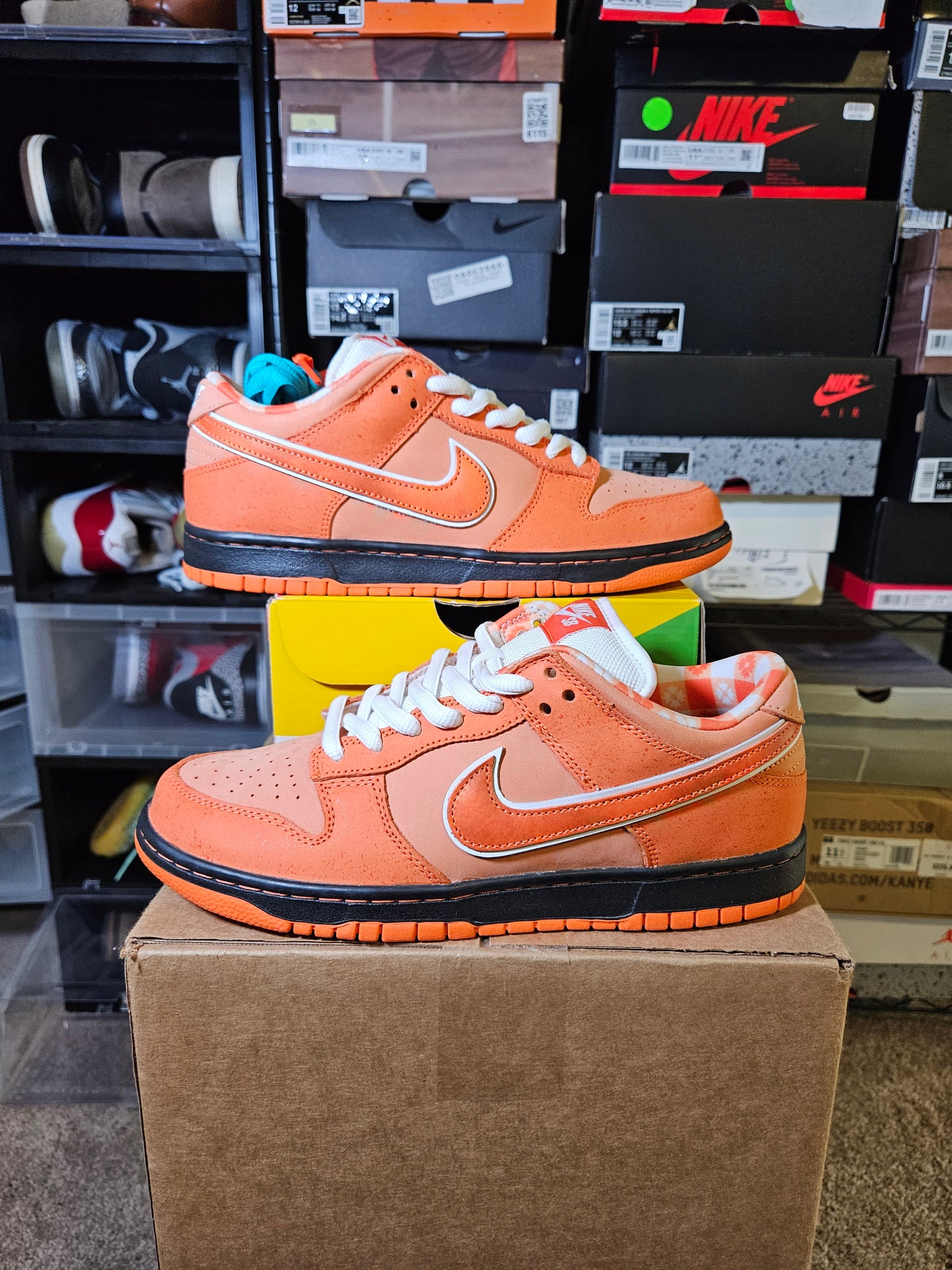 Size 8.5 - Dunk Low SB x Concepts Orange Lobster