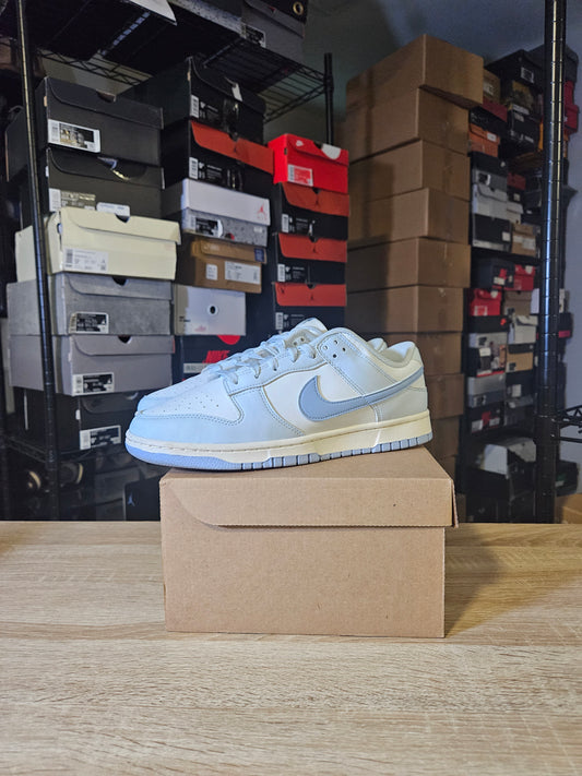 Size 10 - Dunk Next Nature Low Blue Tint